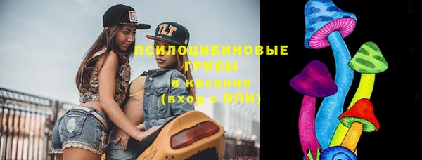 гашик Куйбышев