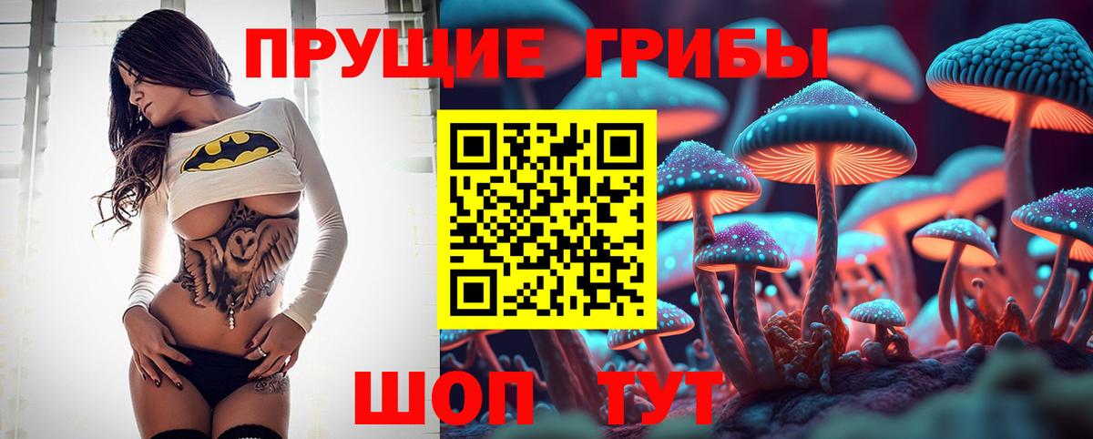 где найти наркотики  Вход с VPN  Уссурийск  Псилоцибиновые грибы Psilocybine cubensis 