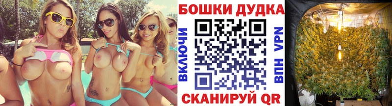 площадка наркотические препараты  цена наркотик  Уссурийск  Каннабис конопля 